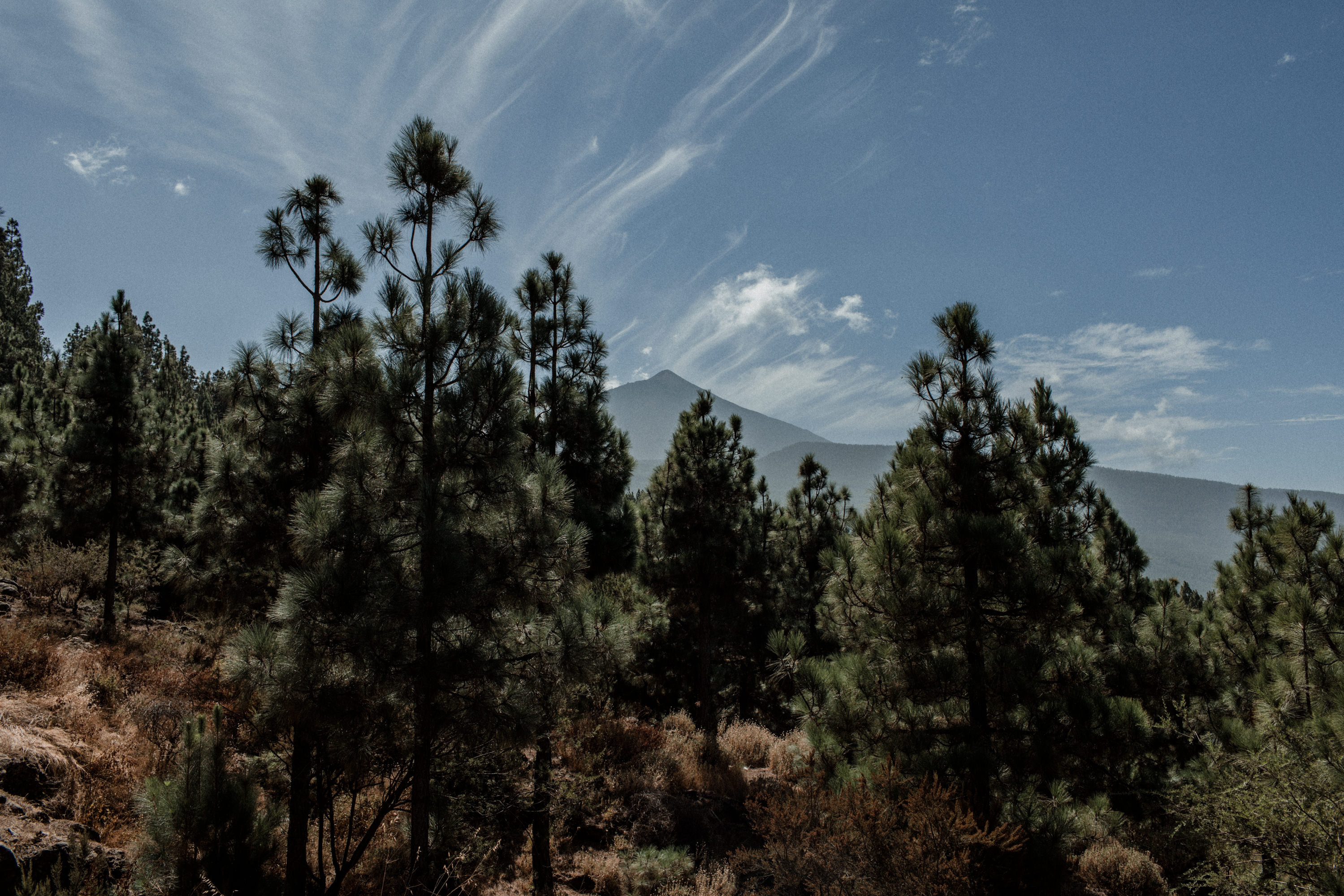 Dies ist ein Foto aus einer Fotoserie, die in einem Couple Shoot auf dem Teide in Teneriffa im Jahr 2017 entstanden ist.