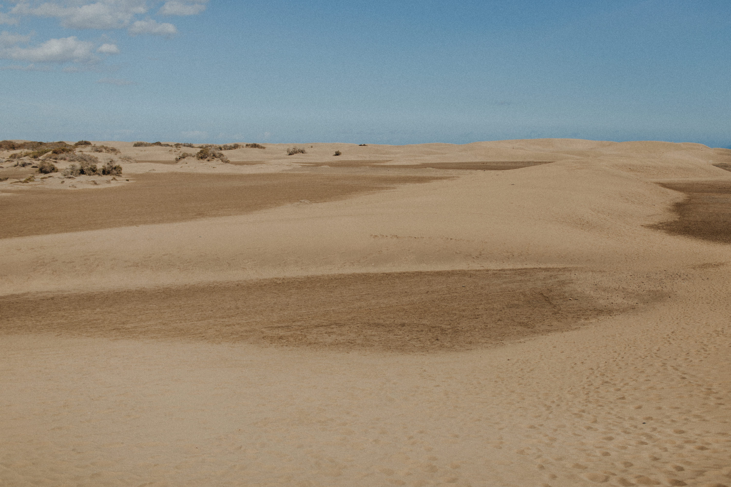 Zu sehen ist das Foto eines Elopement Shoots auf Gran Canaria in den Dünen von Maspalomas, aufgenommen von Tom und Lia, Hochzeitsfotografen aus Rostock. You see a photo that has been taken in the dunes of Maspalomas during an elopement shoot, Gran Canaria, by Tom and Lia, wedding photographers from Germany.