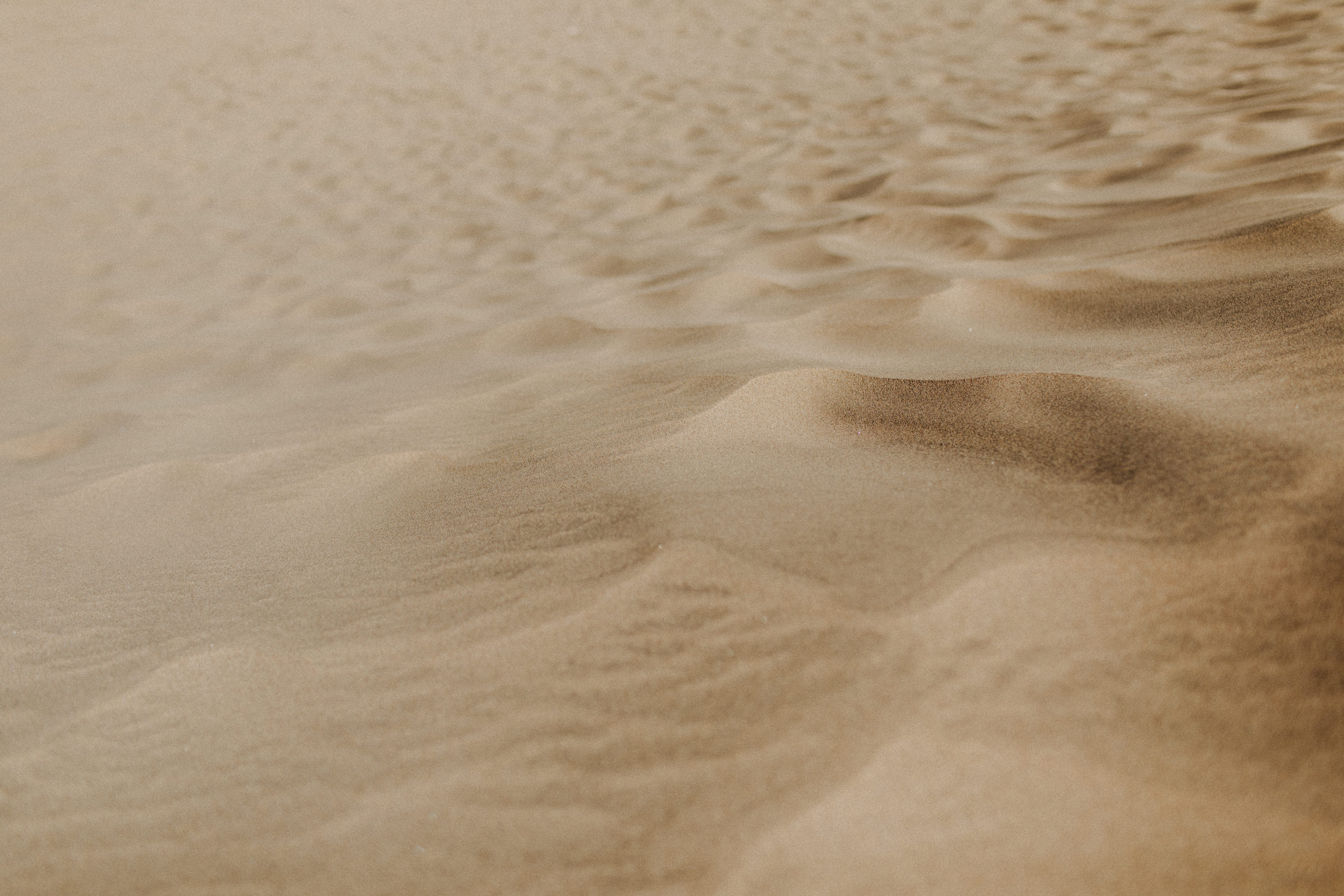 Zu sehen ist das Foto eines Elopement Shoots auf Gran Canaria in den Dünen von Maspalomas, aufgenommen von Tom und Lia, Hochzeitsfotografen aus Rostock. You see a photo that has been taken in the dunes of Maspalomas during an elopement shoot, Gran Canaria, by Tom and Lia, wedding photographers from Germany.