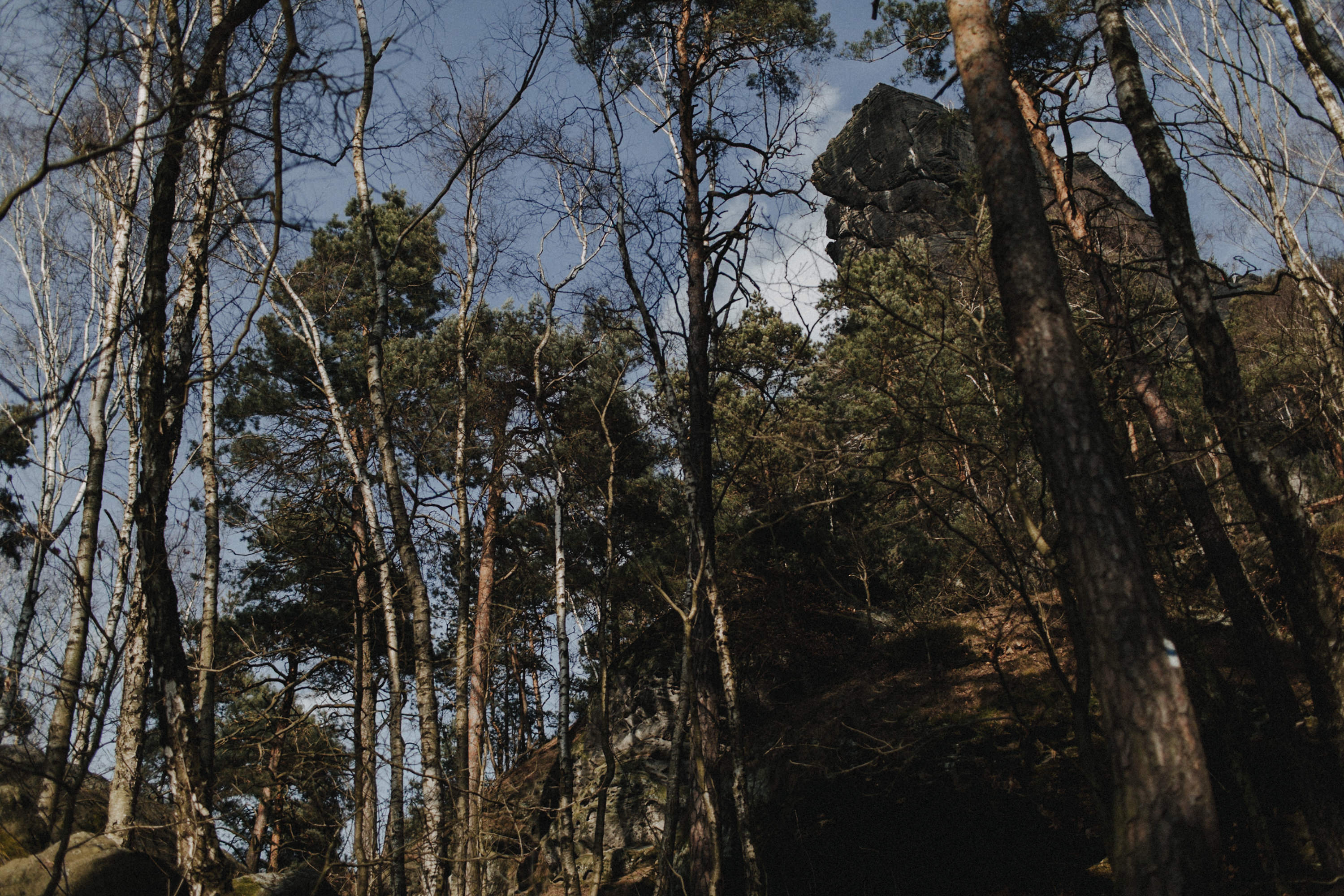 Dieses Foto ist Teil einer Fotoreportage eines Couple Shoots auf dem Lilienstein, Elbsandsteingebirge, Sächsische Schweiz. Es wurde aufgenommen von den Hochzeitsfotografen Tom und Lia aus Potsdam: Hochzeitsreportagen für tiefgründige Herzen mit analogem Herzschlag.