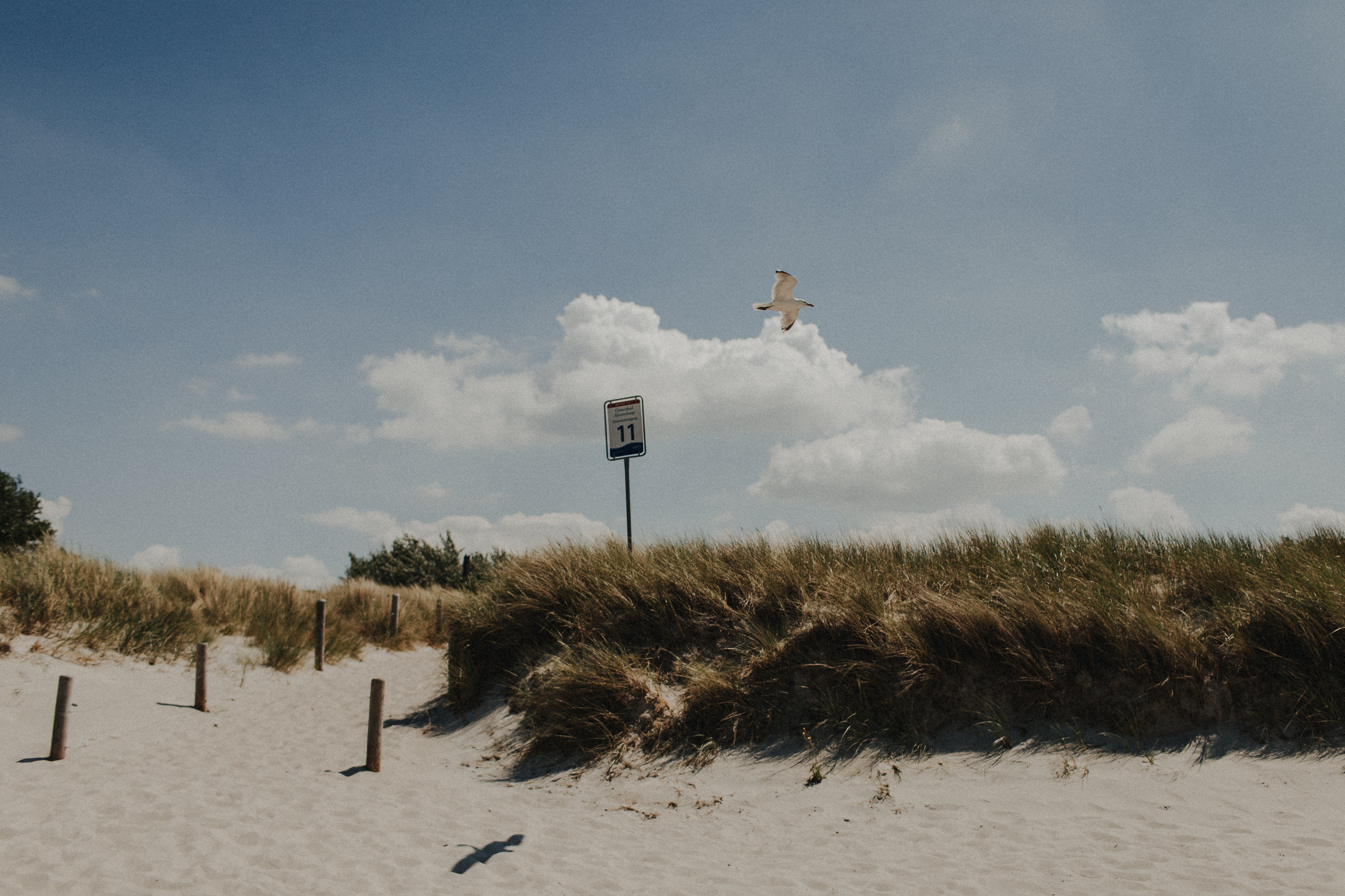 Strandhochzeit an der Ostsee. Es handelt sich um ein Foto aus einer Hochzeitsreportage, das von den beiden Hochzeitsfotografen Tom und Lia Fotografie aus Potsdam aufgenommen wurde. Die Hochzeit fand in Ahrenshoop direkt am Strand statt.