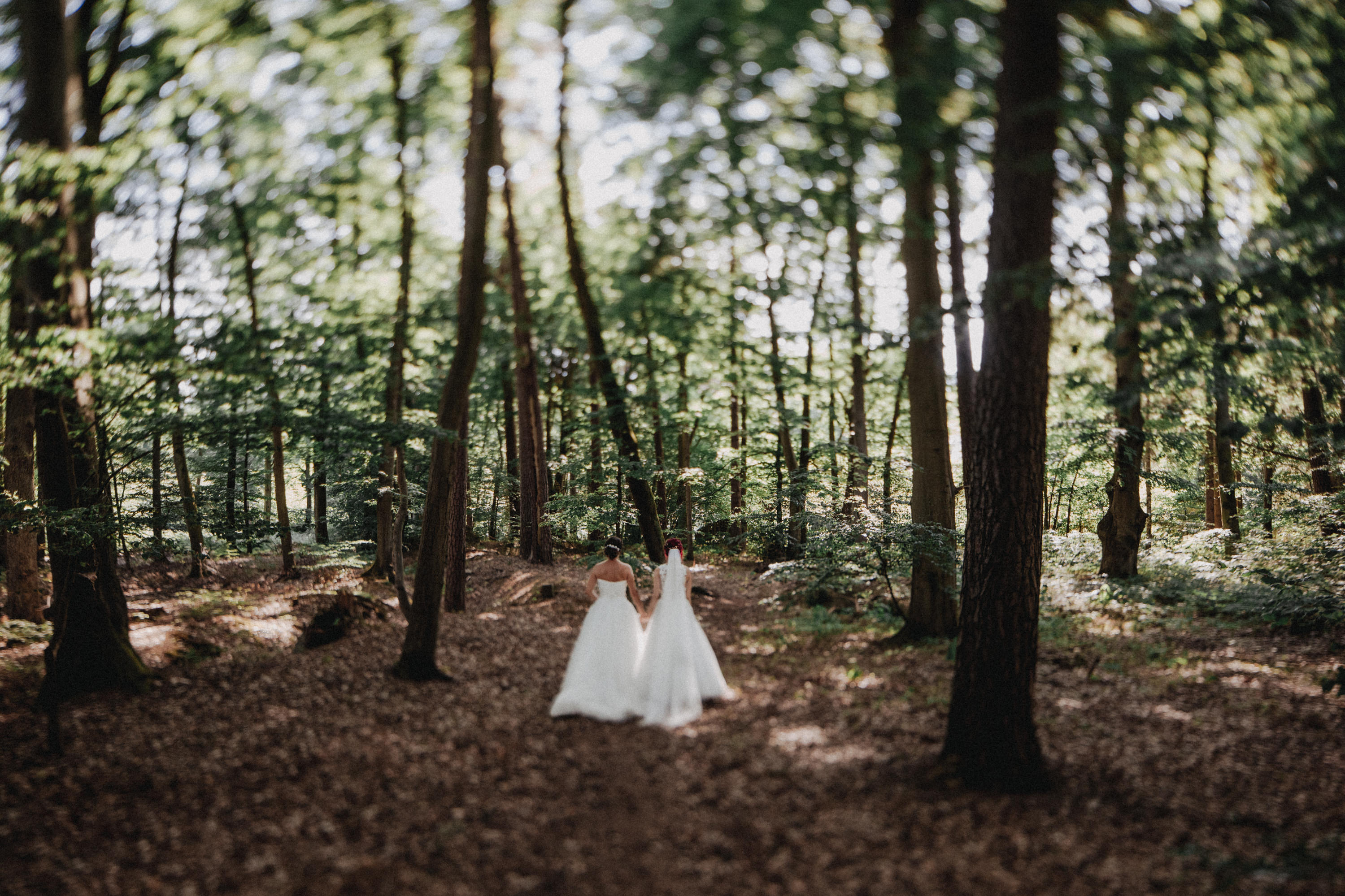 Dieses Foto ist Teil einer Hochzeitsreportage aus dem Juni 2018. Geheiratet haben zwei Frauen, die bei einer freien Trauung bei Sonnenschein getraut wurden. Fotografiert wurde diese Hochzeitsreportage von den Hochzeitsfotografen Tom und Lia aus Potsdam.